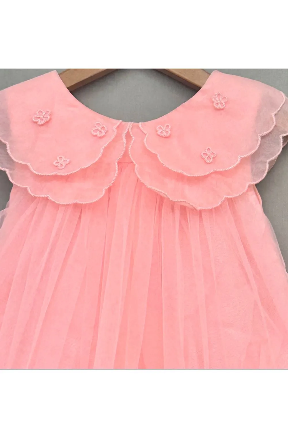 Baby Pink Organza Embroidered Cape Collar Dress