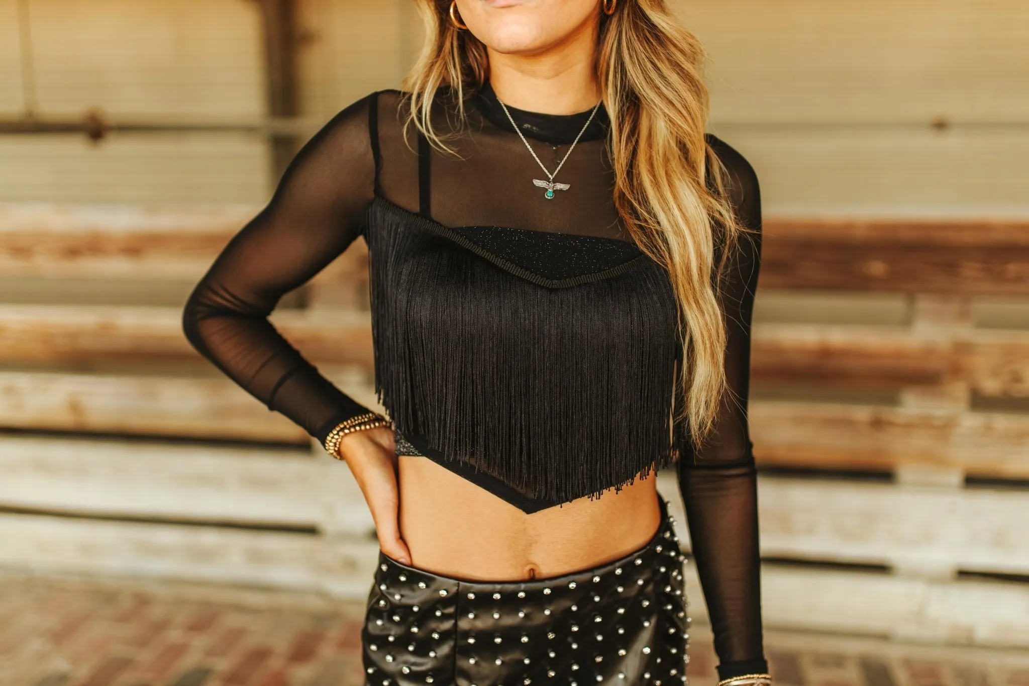 Sheer Long Sleeve Fringe Crop Top