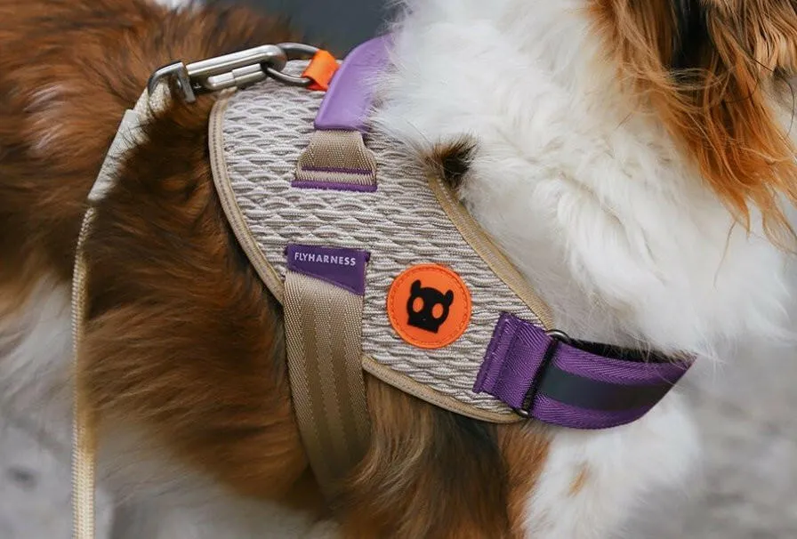 Zee.Dog FlyHarness ACG