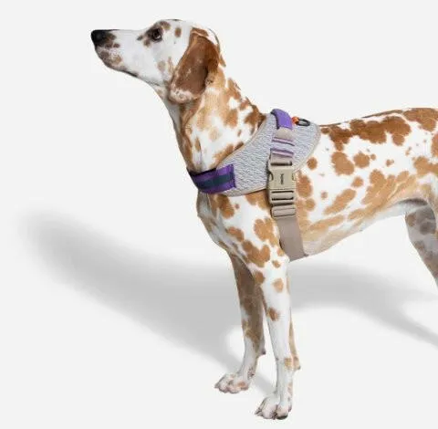 Zee.Dog FlyHarness ACG