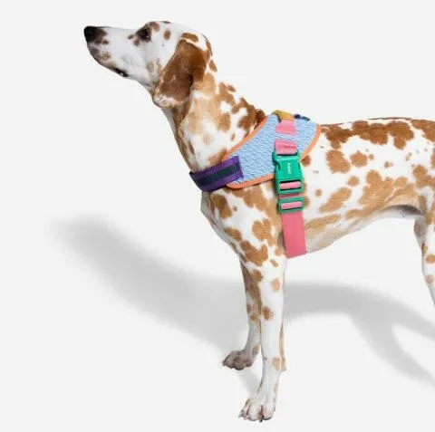 Zee.Dog FlyHarness Galaxy