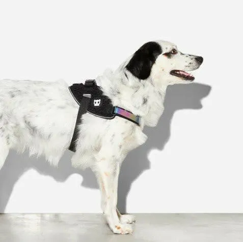 Zee.Dog FlyHarness Gotham